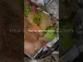 Steak and Shrimp Foil Packets | Zania Amiree | #foodie #food #steak #easydinner #shorts #reels #fyp