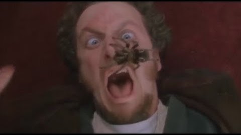 We Are Number One but each "one" is replaced with Marv screaming + distortion