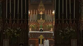 Rito Protestantizado vs el Rito Latino Tradicional #misa #misatridentina