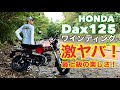 HONDA Dax125 異次元の楽しさ!ワインディング上り下りインプレッション!【レンタルバイク出たもの勝負byまさチャンネル】