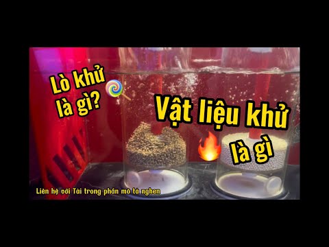 Video Tập 7: Lò khử của hồ cá biển san hô là gì ? Vật liệu... - youtube
