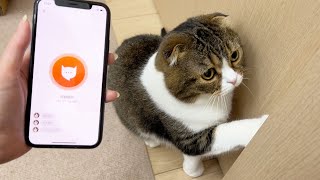 気になる猫の行動の時の鳴き声を翻訳してみたら意外な結果でかわいすぎたw
