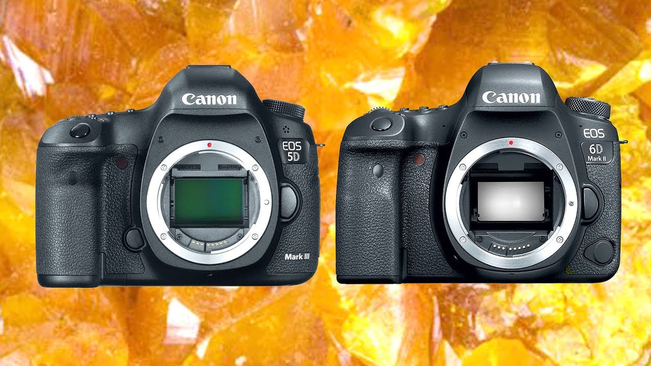 5d vs mark. Canon 5d Mark III. Canon 6d vs 6d Mark II. Canon 6d Mark 2. Canon EOS 6d Mark II vs.
