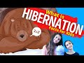Understanding Hibernation