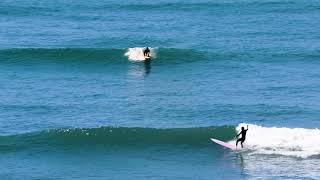 Kookapinto Shapes | 9'6 Gunny Fishy Noserider - YouTube