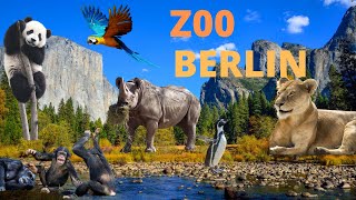 Part- 1 WELCOME TO THE LARGEST ZOO IN GERMANY  | Zoo Berlin | Zoologischer Garten Berlin