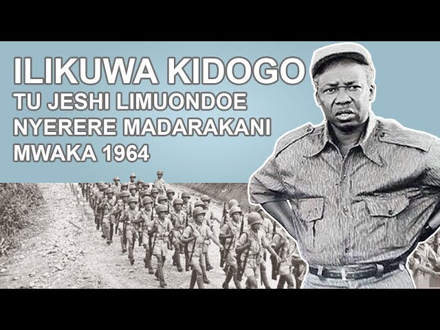 JARIBIO LA KUMPINDUA NYERERE LILILOFANYWA NA MAKOMANDOO NA WANAJESHI/Tanzania /mlevi akatoboa siri class=