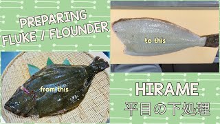 How to prepare fluke/flounder (hirame) @tokyosushiacademyenglishcourse by Tokyo Sushi Academy English Course / 東京すしアカデミー英語コース 2,526 views 2 years ago 10 minutes, 46 seconds