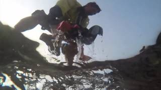 Nemo Power Tools: Who Theyβre For