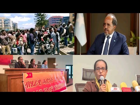 ጌታቸው ረዳ ክህደን ተቋውሞ ኣባላት ፍሉይ ሓይሊ ትግራይ ኣንጻር መንግስቲ ትግራይ 