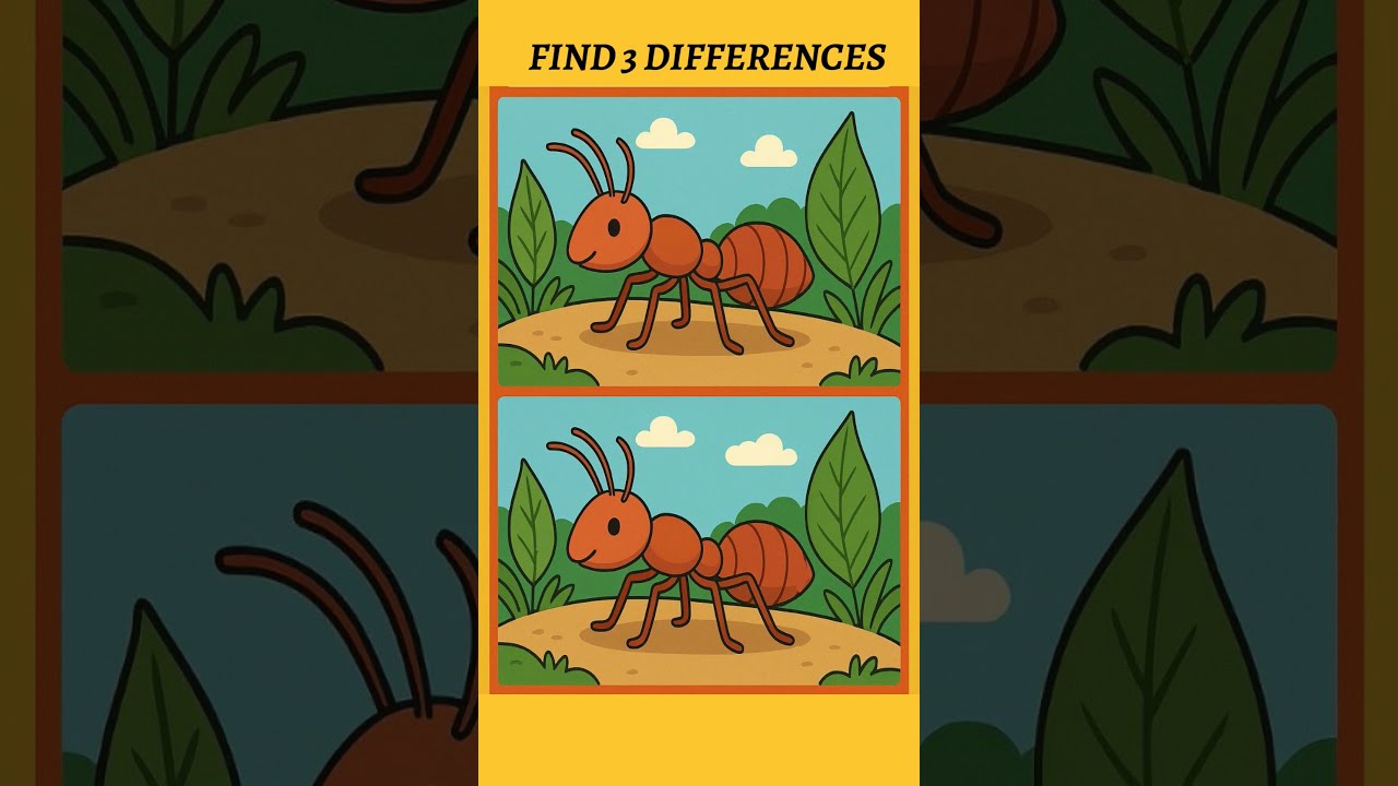 Find It Before Your Friend Does Shorts 540 Puzzle Palace 