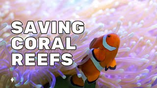 Mission Unstoppable: Saving Coral Reefs thumbnail