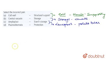 Select the incorrect pair.