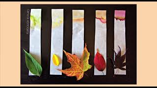 USC Young Scientists Program - 5th Grade -  Spring Semester - Week 6 - Chromatography