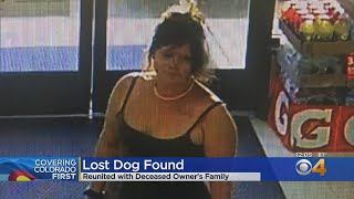 Melody Mellon, Woman Who Stole Dog In Longmont, Arrested