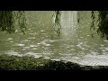 Le bruit de la pluie au bord d'un étang