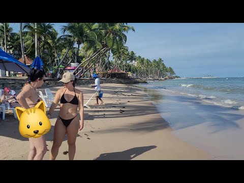 Praia Pajuçara - Maceió [ 4K ] Linda praia de Alagoas, cheia de Coqueiros no Nordeste mar calmo