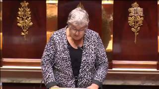 Play video: PLF 2015 : Budget asile - Intervention d'Elisabeth Pochon - 12/11/15