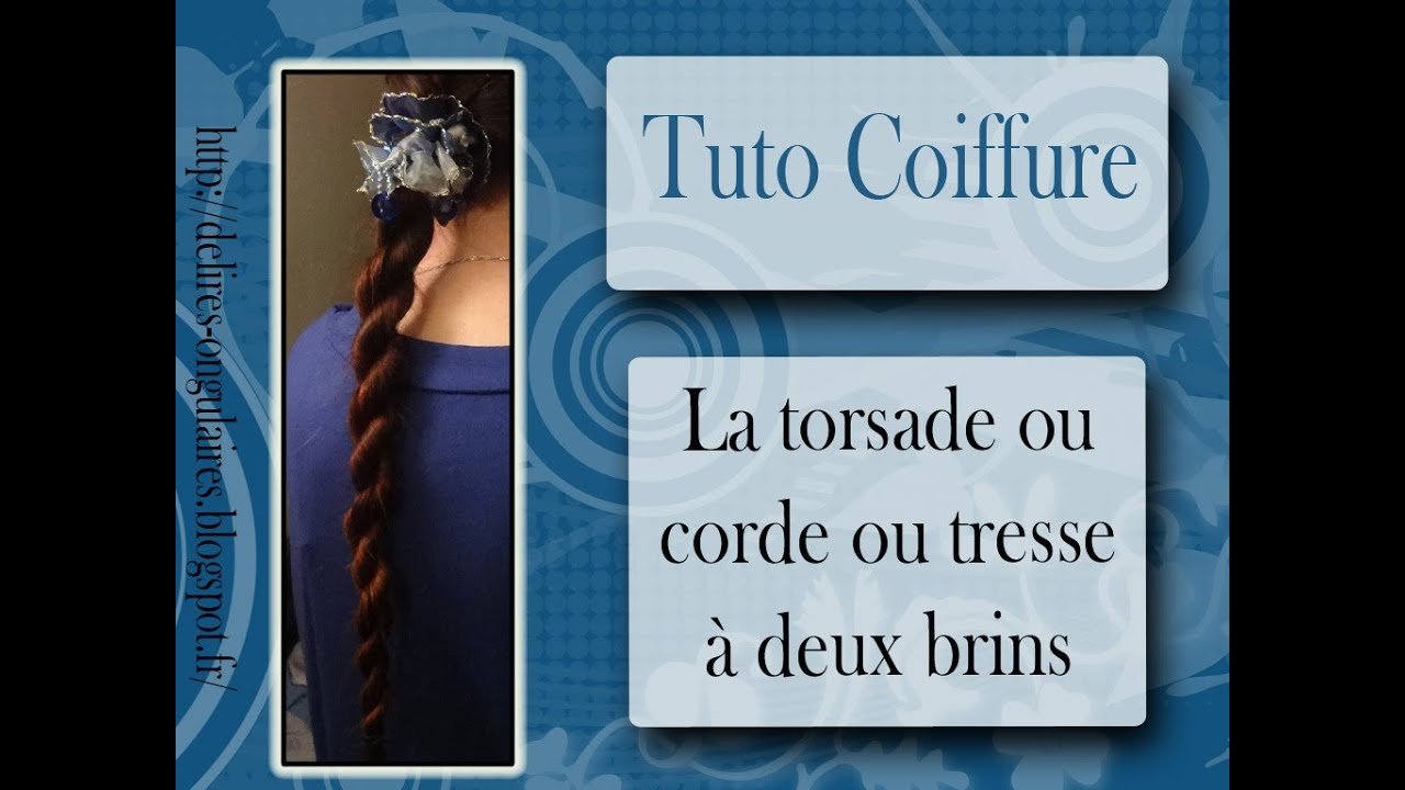 coiffure tresse deux brins