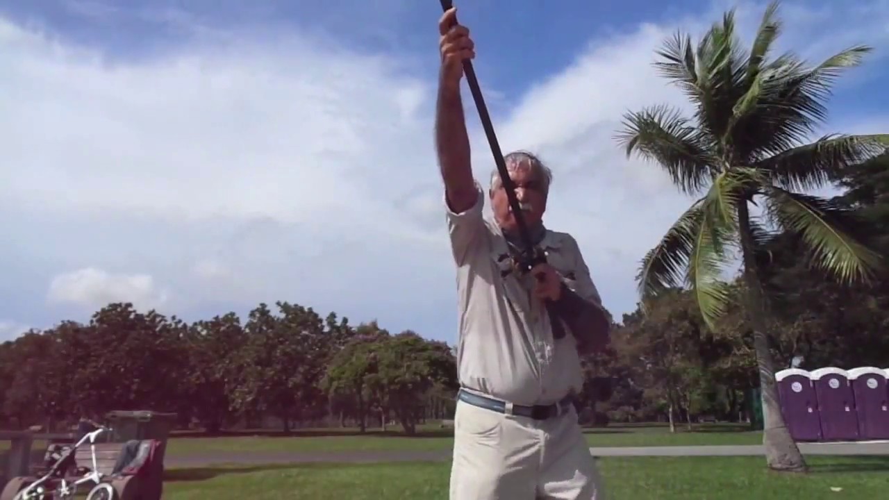 Zziplex profile evo-"a wolf in sheep's clothing"