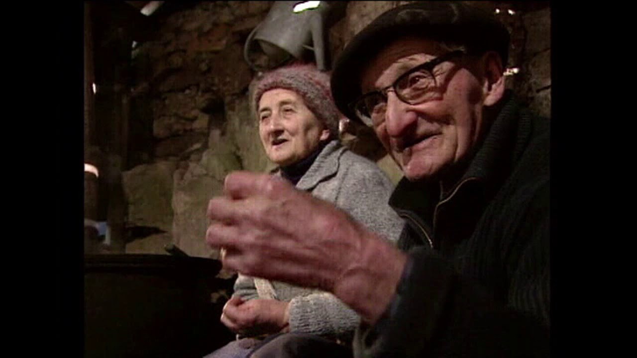 Faut pas rêver   Mort du cochon