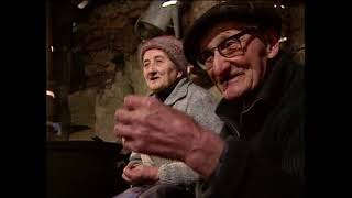 Faut Pas Rêver Mort Du Cochon