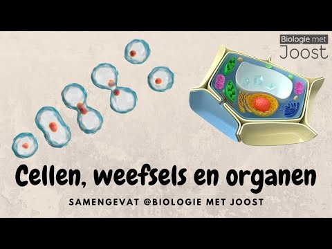 Video: In orgaan- en weefseloorplanting?