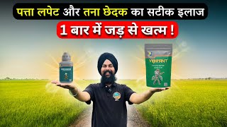 अब नहीं बर्बाद होगी फसल! Leaf Curl और Stem Borer का फुल इलाज | PI Pressedo + PI Vibrant का कमाल!