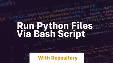run python files via bash script