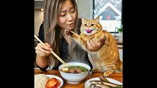 Sky Eating torontovlog funai sharingiscaring