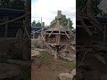 Monkeying around ð      ð      ð      ð