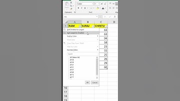 How To Remove Filter In Excel | Remove filter in data #exceltricks #excel #filterremove #digitalpro
