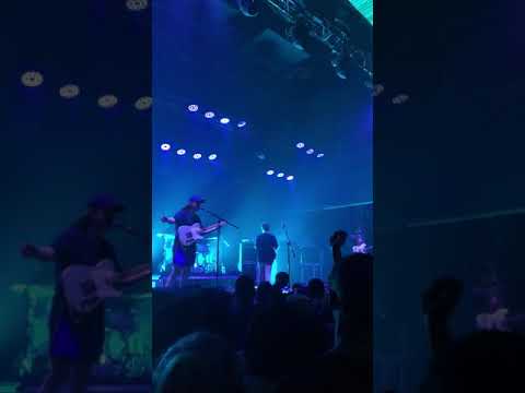 Beach Fossils- Sleep Apnea Live