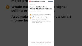 Fear Indicators from Whale Movement Patterns — explained in 60 seconds