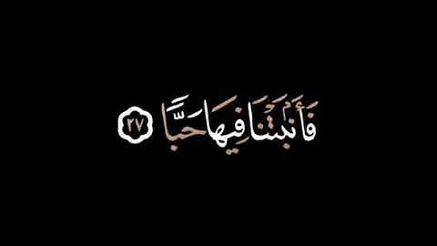 تلاوة قرانيه بصوت ماهر القباص  فلينظر الانسان الى طعامه