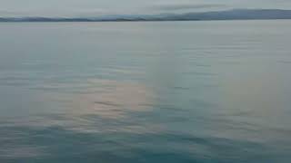 The Beauty of Bilabid Island 🏝️