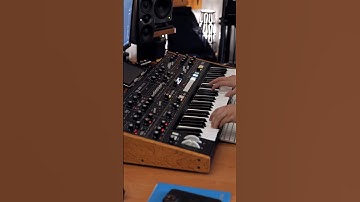 Moog Muse & Moog Subsequent 37 #dksynthlab #moogmuse #subsequent37 @MoogSynthesizers