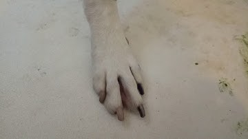 VID 20181011 0949431