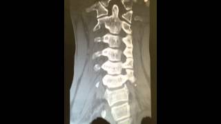 IMG 4791