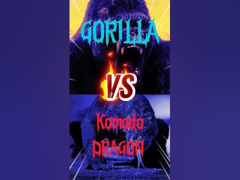 "Mid-High Mysteries of Gorilla vs. Komodo Dragon"🦎vs🦍 😱 #animals #