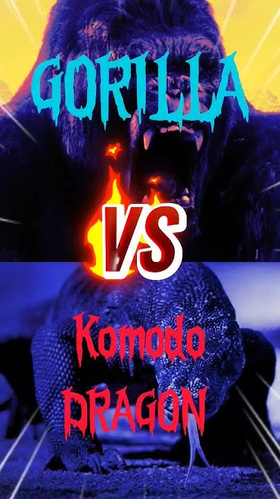 Gorilla vs Komodo Dragon🦍 😱 #komodo #wildanimals #shorts - YouTube