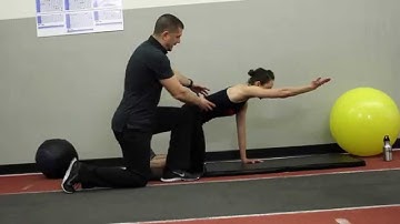 Core Workout Video: Quadruped Reach Progression