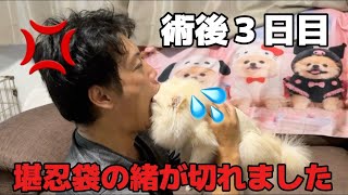 遂に我慢の限界に達しました！