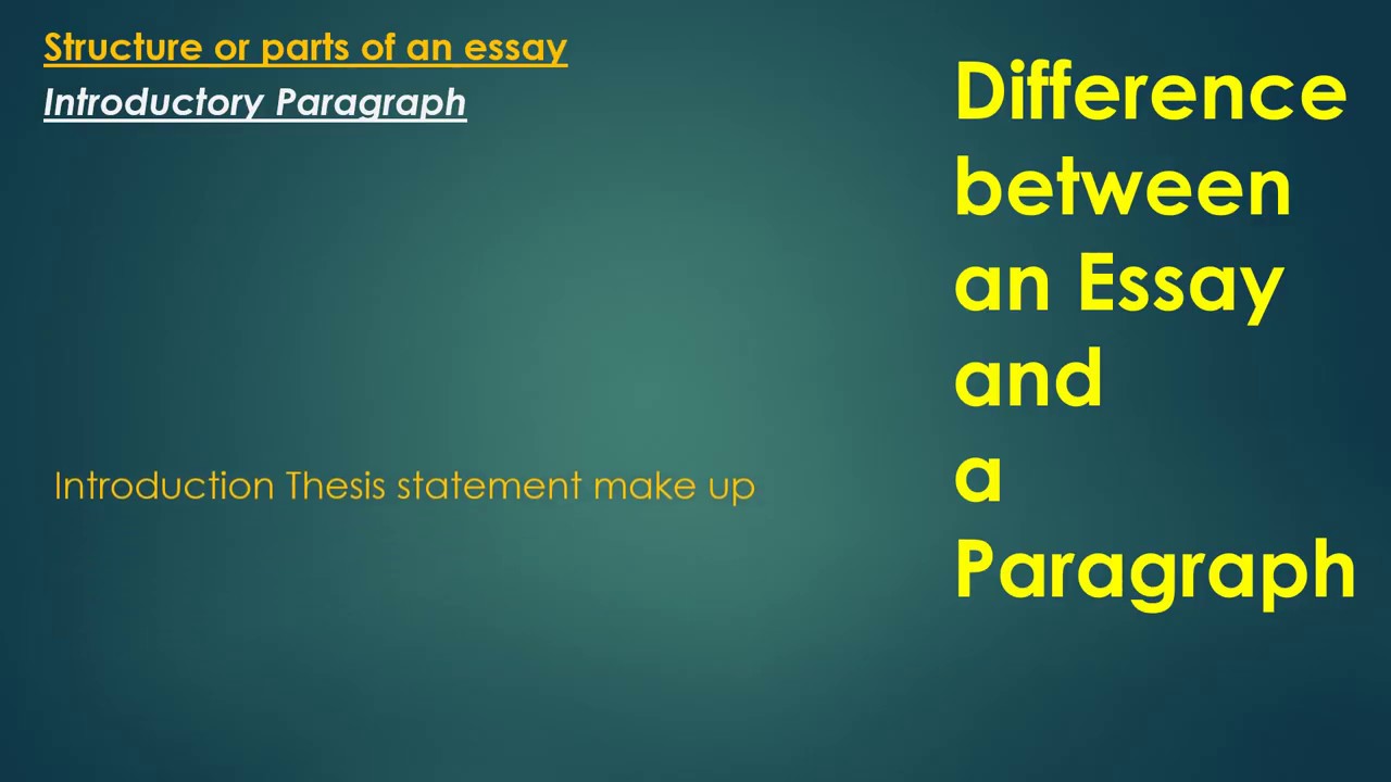 what is the difference of essay and paragraph