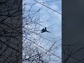 Ukrainian Air Force Su-27 over Kyiv region, 31.12.2022