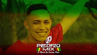 MC Murilo MT - Morena 155 (Reggae Remix) DJ Pedro Mix