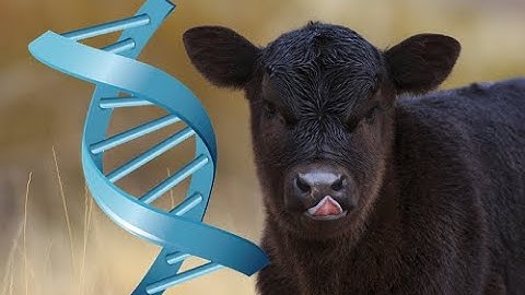 Genomics 101 Webinar