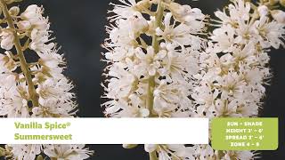 Shrubs for Wet Sites