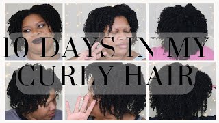 Watch My Hair Last For 10 Days!!! l Curly Hair Routine l Renata Nicole Beauty