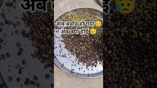 😥 सब बर्बाद हो गया 😥#shorviralvideo #minivlog #shortvideo
